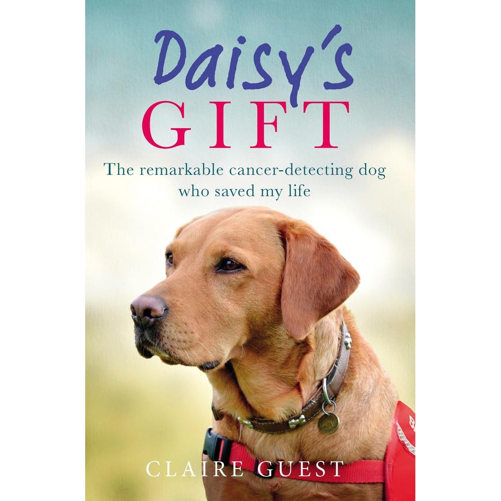 [BnB] Daisys The Remarkable Cancer-Detectting Dog Who Saved My Life โดย Claire Guest (สภาพ: ดี)