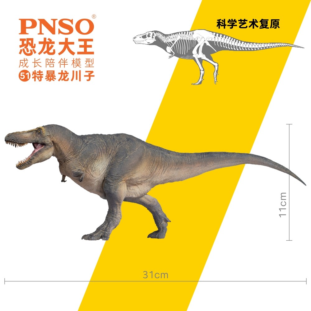 P PNSO Dinosaur King จําลองไดโนเสาร์จูราสสิกของเล่นการเจริญเติบโตประกอบรูปแบบยุคก่อนประวัติศาสตร์ 51