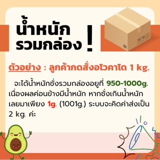 ส่งฟรี 1กิโลกรัม ‼️ Avocado อโวคาโด พันธุ์บัคคาเนีย พันธุ์พื้นเมือง บัคคาเนีย แฮส ปีเตอร์สัน อโวคาโด้ อโวคาโด