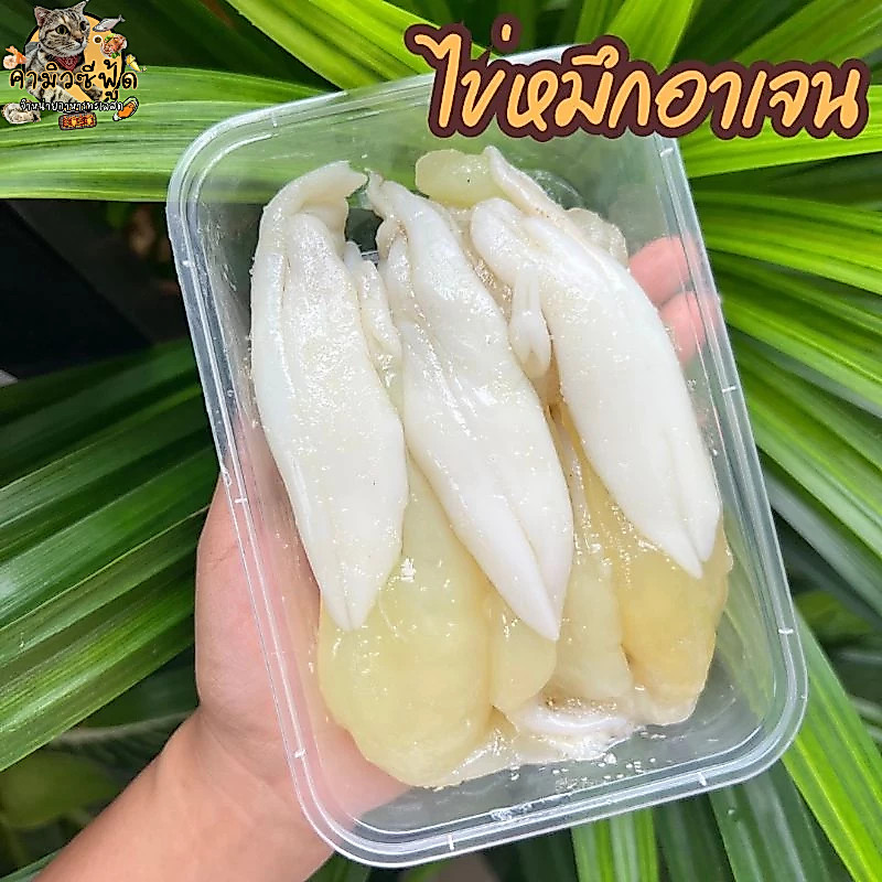 🦑🐙ไข่หมึก อาเจน แบ่งขายกล่องละ300กรัม 500กรัม และ1000กรัม