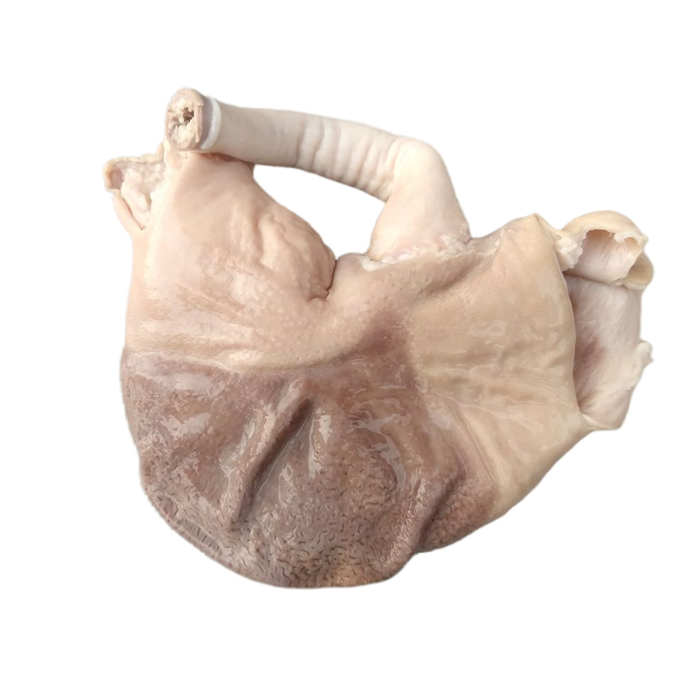 ส่งพรุ่งนี้ กระเพาะหมูลวก 1 กก./แพ็ค ออกใบเสร็จได้