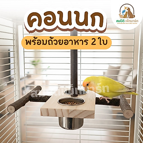คอนนกติดกรงไม้แท้ พร้อมถ้วยอาหารสแตนเลส 2 ใบ คอนไม้ธรรมชาติสำหรับนกแก้ว นกหงส์หยก นกฟินซ์ ถอดล้างได้ แข็งแรง