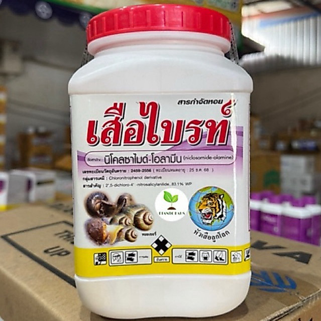 เสือไบร์ท หัวเสือ ลูกโลก *ลอตใหม่ 11/25 นิโคลซาไมด์-โอลามีน ยาเหลือง ยาขมิ้น ป้องกัน กำจัด หอยเชอร์รี่ ปลาไหล 500กรัม