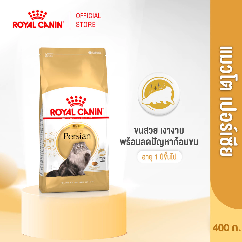 Royal Canin Persian Adult 400g อาหารเม็ดแมวโต พันธุ์เปอร์เซียน อายุ 12 เดือนขึ้นไป (Dry Cat Food, โรยัล คานิน)