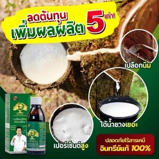 [2 แถม 1] โดสเขียว อาหารพืช แก้หน้ายางตายนึ่ง บำรุงต้นยางพารา ลดเชื้อรา ฮอร์โมนพืช โดส เขียว ยางพารา