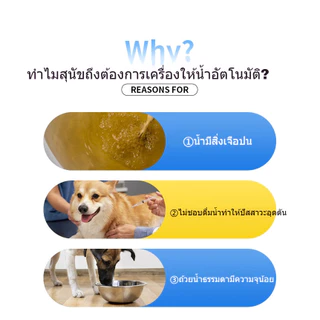 ตู้กดน้ํา เครื่องป้อนน้ําอัตโนมัติสําหรับสัตว์เลี้ยง ความจุขนาดใหญ่ 3 ลิตร / 4 ลิตร / 5 ลิตร นักดื่มถัง แมวและสุนัข