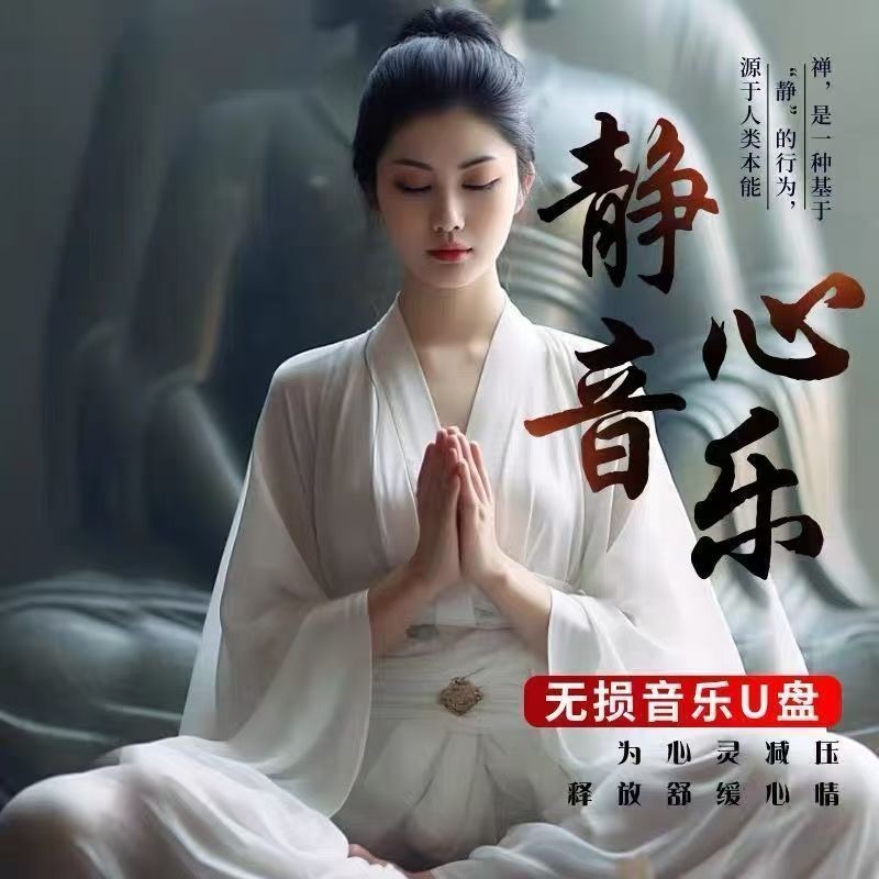 U Disk U Disk การทําสมาธิ Health Care Light Music U Disk Lossless คุณภาพสูงจีนเพลง Five-Tone Master 