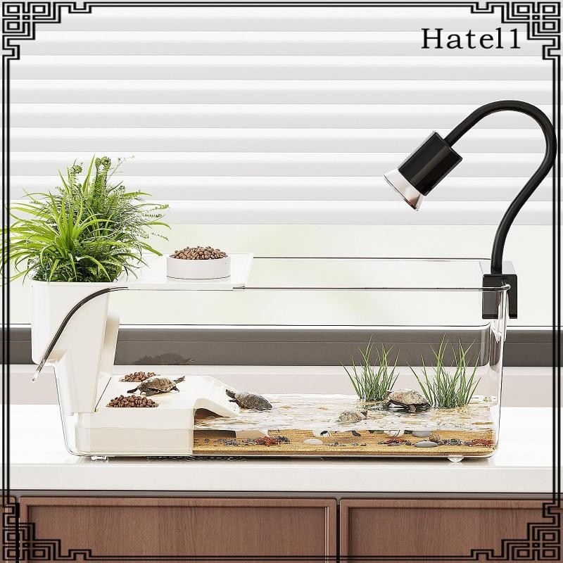 [Hatel] Turtle Aquarium Tortoise Enclosure Starter Basking Ramp Terrapin Resting พร้อมแพลตฟอร์มสําหร