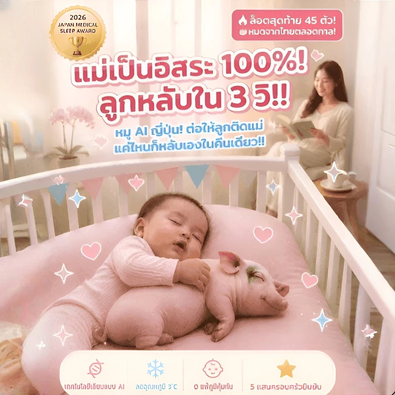 ตุ๊กตาหมอนข้างหมู AI