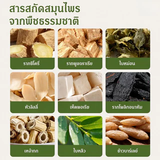 [ช่วยฟื้นฟูสุขภาพ] ชาสมุนไพรเพื่อสุขภาพ ชาดอกไม้/สมุนไพร/สุขภาพ/ชา
