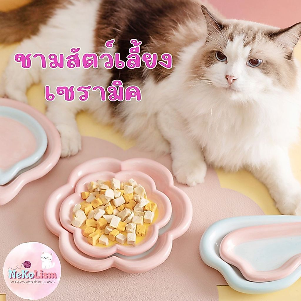 ชามเซรามิคแบนแมว จานอาหารแมว จานข้าวหมา งานระบายมือ Bowl