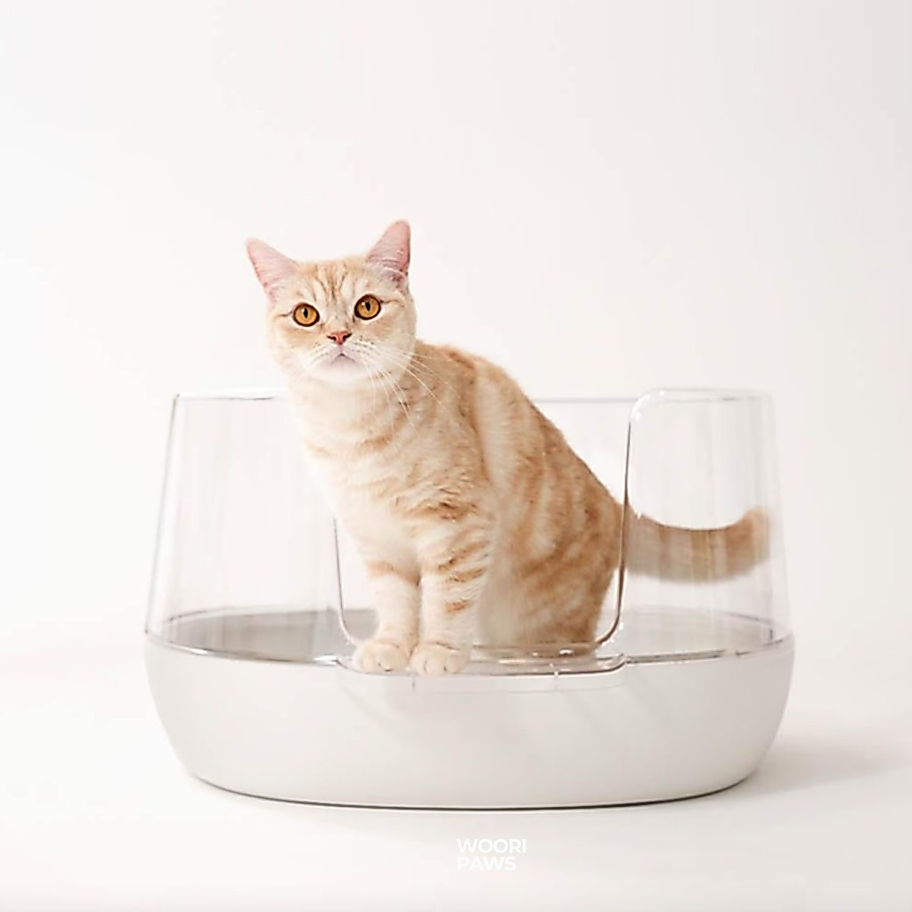 [พร้อมส่ง] Transparent Cat Toilet ห้องน้ำแมวโดมใส ออกแบบโดยสัตวแพทย์เกาหลี ผลิตและนำเข้าจากเกาหลี