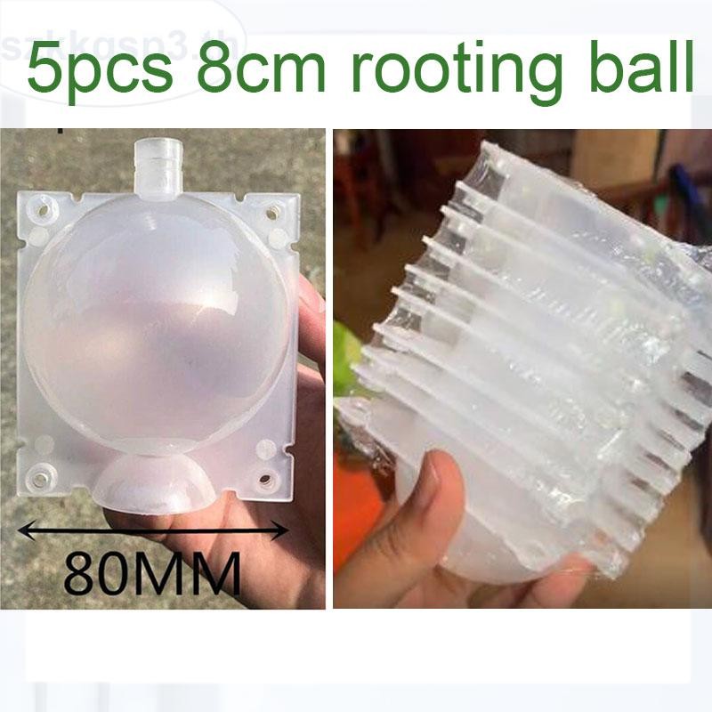 5 ชิ้น 8 เซนติเมตรผลไม้พืชต้นไม้ Rooting Ball แรงดันสูง Breeding Root กล่องพลาสติกโปร่งใส Grafting R