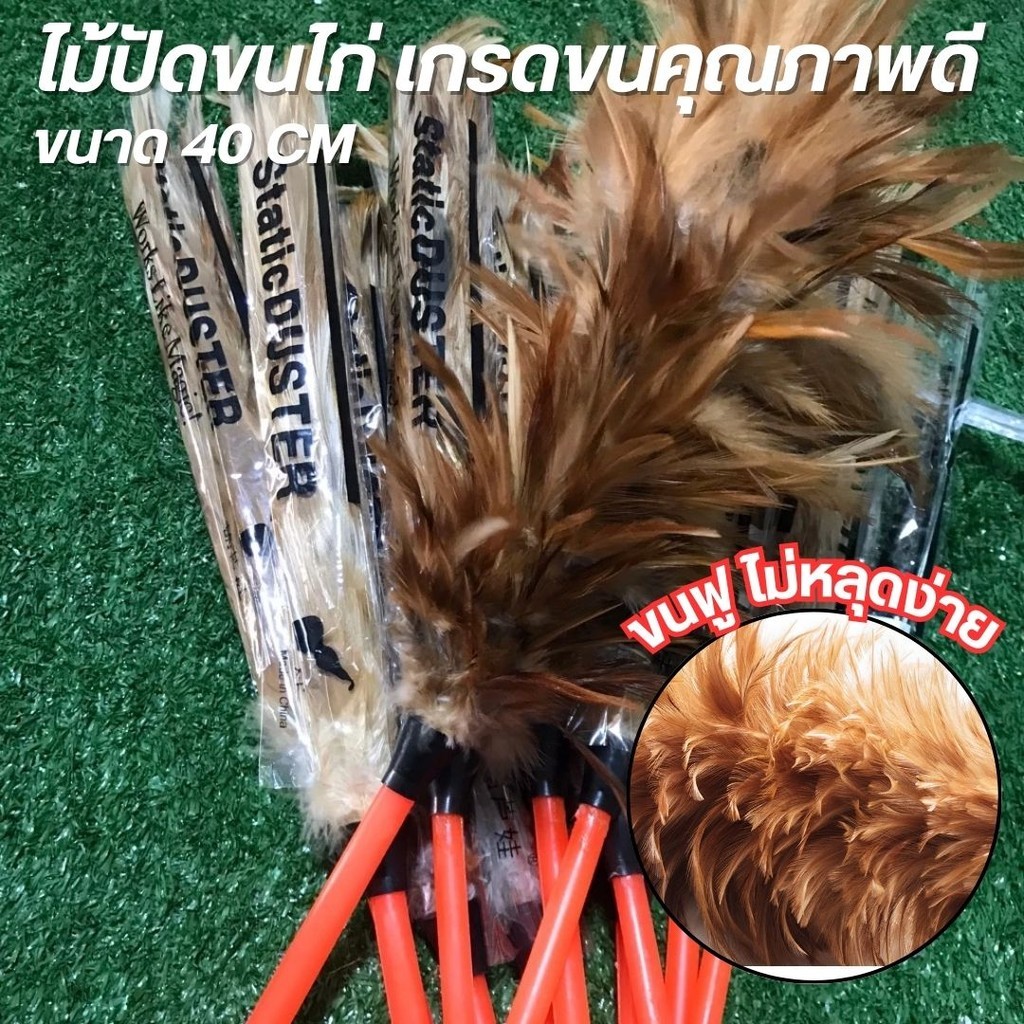 ไม้ปัดขนไก่อย่างดี เกรดA ด้ามจับพลาสติก ขนแน่นฟู ไม่หลุดง่าย (พร้อมส่ง) มีขนาดเล็ก น้ำหนักเบา