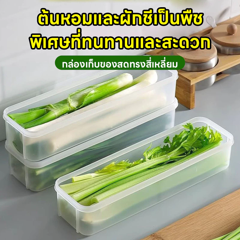 กล่องถนอมอาหาร กล่องเก็บอาหารในตู้เย็น ทำจากวัสดุ PP กล่องเก็บผักชี ต้นหอม คงความสดใหม่ของอาหาร thumbnail 4