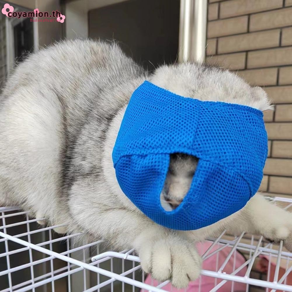COYAMION Anti Bite Muzzles, ตาข่ายที่มีสีสัน Cat Muzzle, Breathable Cat Mouth Guard Muzzle Cat Trave