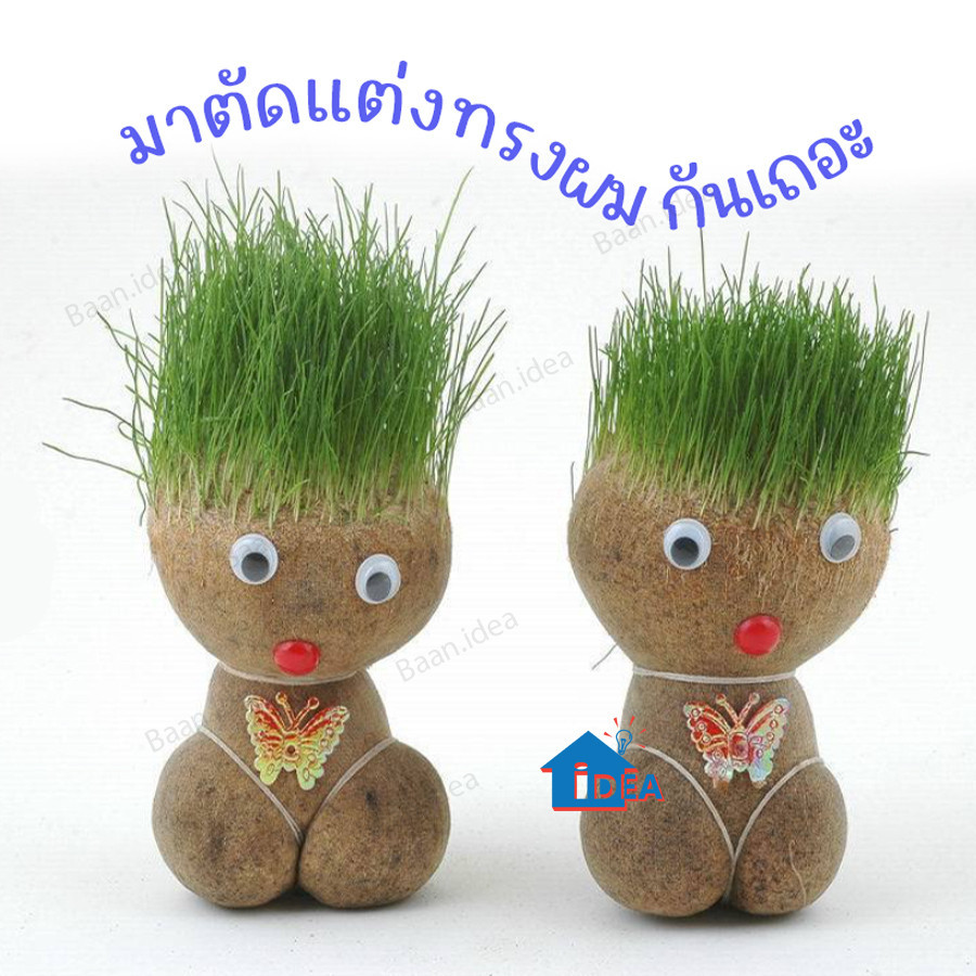 ตุ๊กตาหัวหญ้ากระถางเล็กสร้างสรรค์ หญ้าแมวธรรมชาติ ตุ๊กตาหญ้าที่มีต้นไม้สีเขียวบนหัวเพื่อสังเกตการเจริญเติบโตของพืช