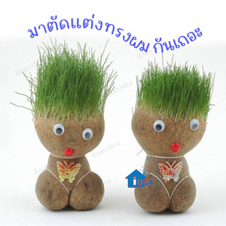 ตุ๊กตาหัวหญ้ากระถางเล็กสร้างสรรค์ หญ้าแมวธรรมชาติ ตุ๊กตาหญ้า…