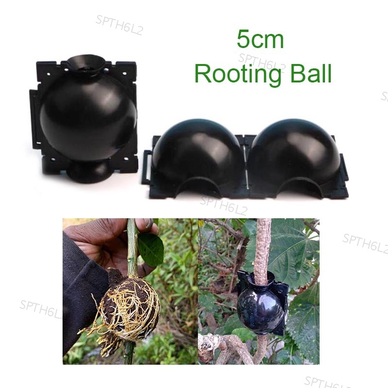 Rooting Growing Breeding 5 ซม.พืช Rooting Ball กรณีผลไม้ Tree Root กล่อง Planter กรณี Grafting สําหร