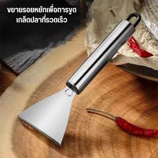 ที่ขูดเกล็ดปลา สแตนเลส ช่วยในการกำจัดเกล็ดปลาทุกชนิดได้อย่างง่ายดาย ขอดเกล็ดปลาง่ายขึ้น