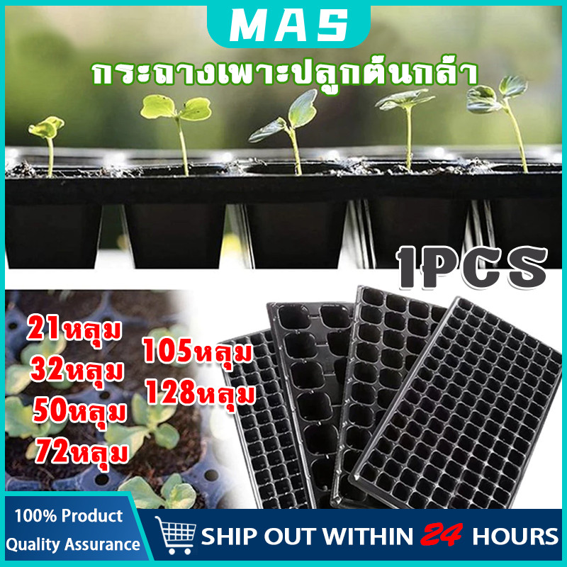 MAS ถาดเพาะกล้า 21/32/50/72/105/128/200หลุม หนา 1.0 มม. ถาดเพาะชำ ถาดเพาะต้นกล้า ถาดเพาะต้นอ่อน ถาดเพาะเมล็