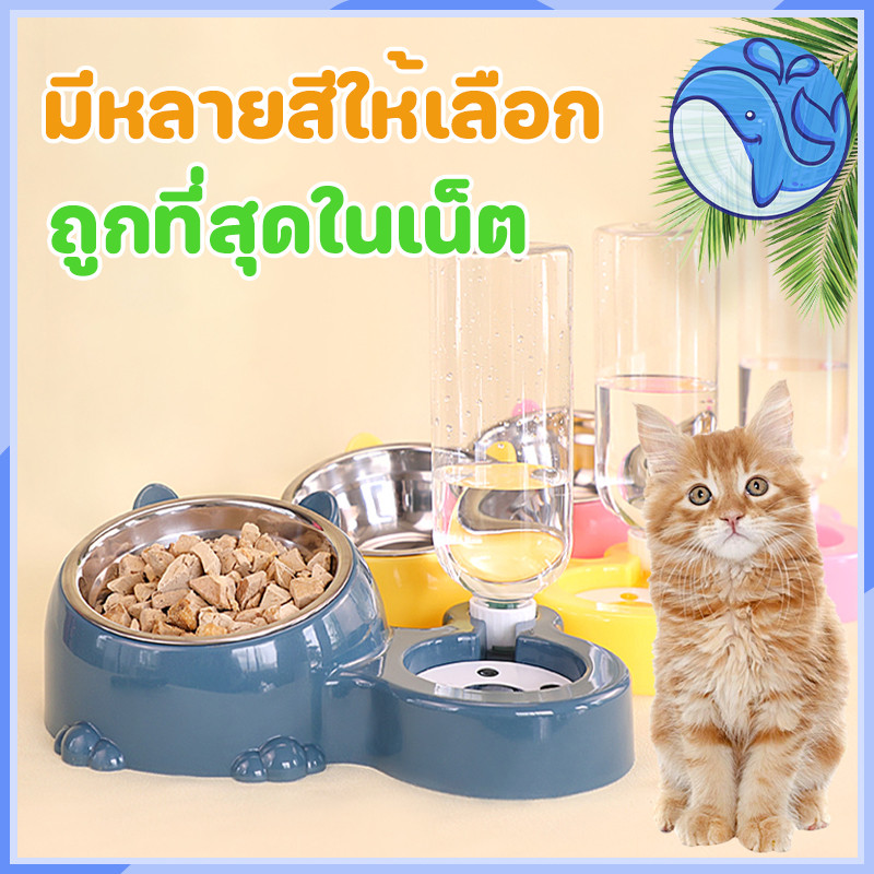 ชามอาหารแมว ชามสัตว์เลี้ยง ชามกันมด ที่ให้อาหาร 2หลุม ที่ใส่อาหารแมว เครื่องให้อาหารแมวอัตโนมัติ ดื่มอัตโนมัติ