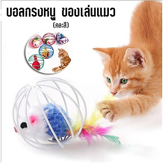 บอลกรงหนู ของเล่นแมว แมวสนุก เพลิดเพลิน