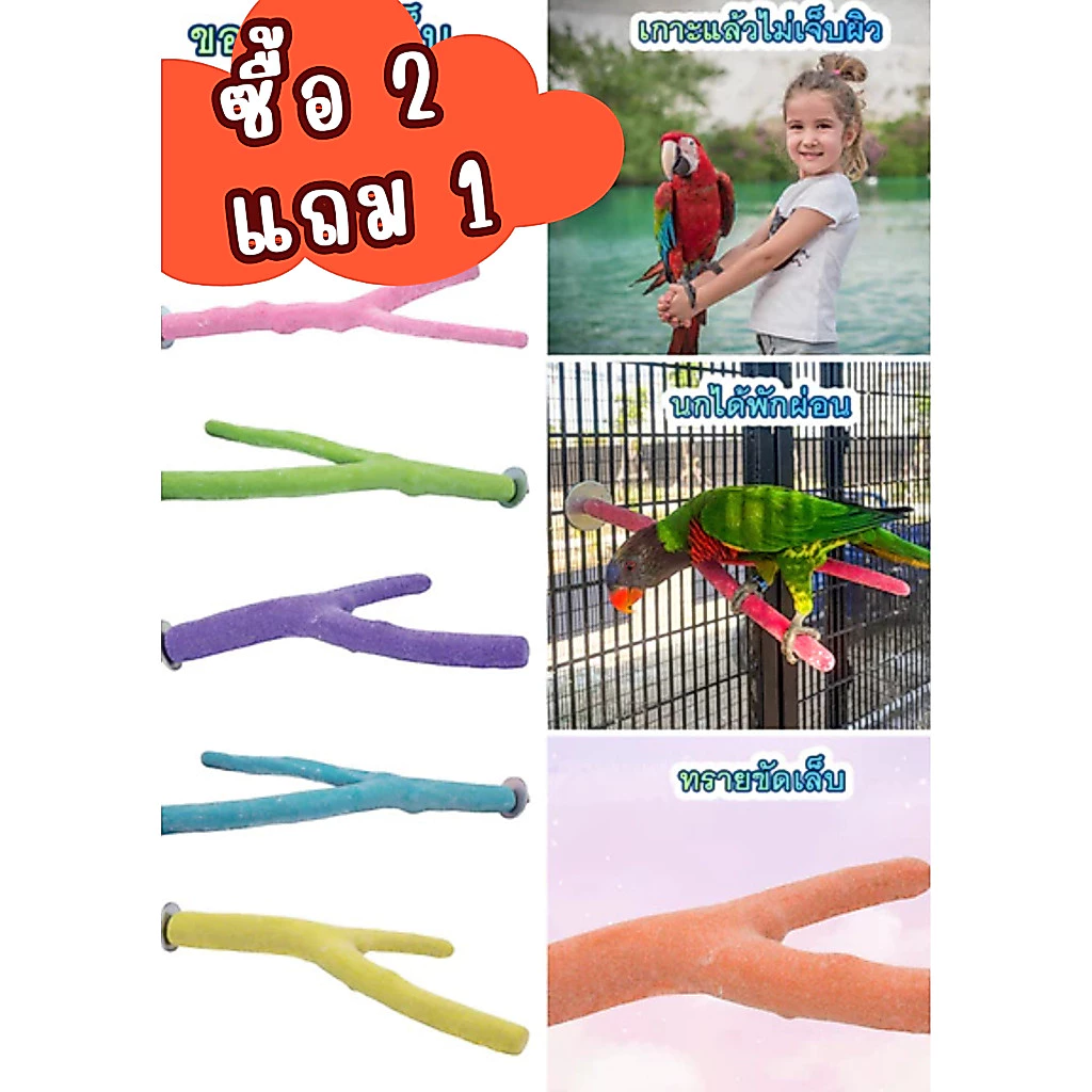 ขอนไม้ลับเล็บ ทรงกิ่งไม้ คลุกเต็ม ผิวบนเรียบ