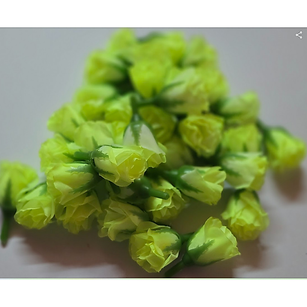 ดอกกุหลาบจิ๋ว สีย้อม สินค้าพร้อมส่ง