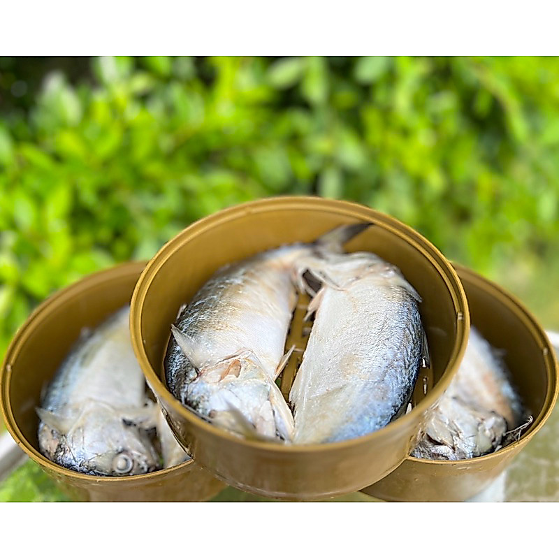 เข่งปลาทูพลาสติก4ขนาด