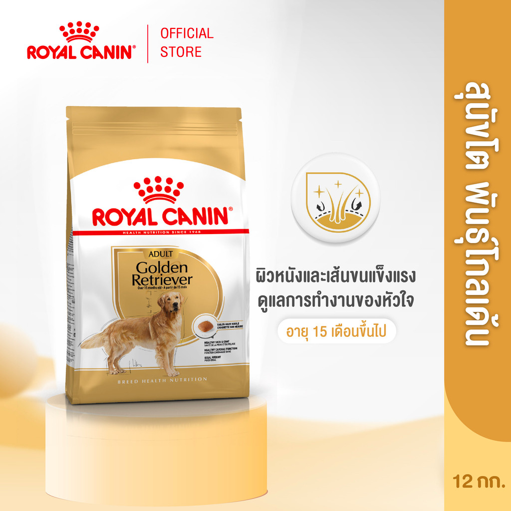 Royal Canin Golden Retriever Adult 12kg อาหารเม็ดสุนัขโต พันธุ์โกลเด้นรีทรีฟเวอร์ อายุ15เดือนขึ้นไป Dog Food,โรยัล คานิน