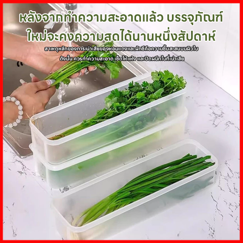 ⚡พร้อมส่งจากไทย⚡ กล่องเก็บผักผลไม้  กล่องรักษาความสด ยืดอายุผักผลไม้ให้สดใหม่ เก็บได้นานขึ้น จัดตู้เย็นเป็นระเบียบ thumbnail 6