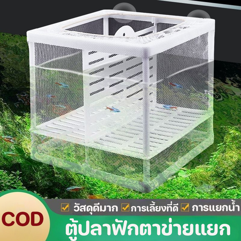 ตู้ปลา กล่องแยก กล่องเพาะพันธุ์ guppy ปลาม้าลาย ตู้บ่มเพาะปลาตัวเล็ก ปลาแอนโชวี่เด็ก ห้องวางไข่แขวนลอย
