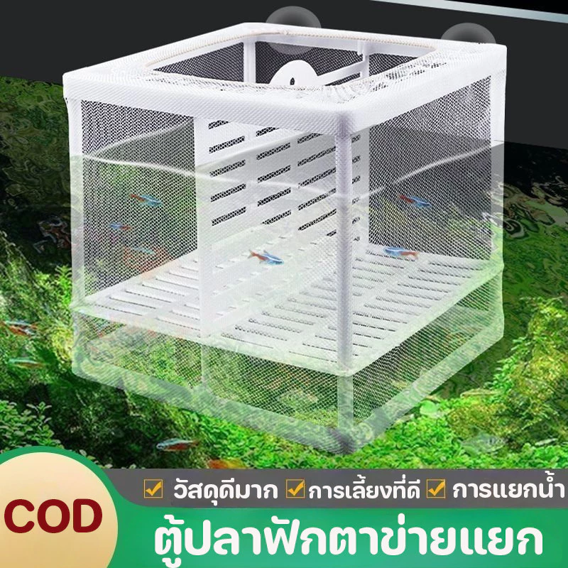 กล่องแยกปลา กล่องเพาะพันธุ์ปลาและวางไข่แบบแขวนลอย สำหรับปลาเล็ก
