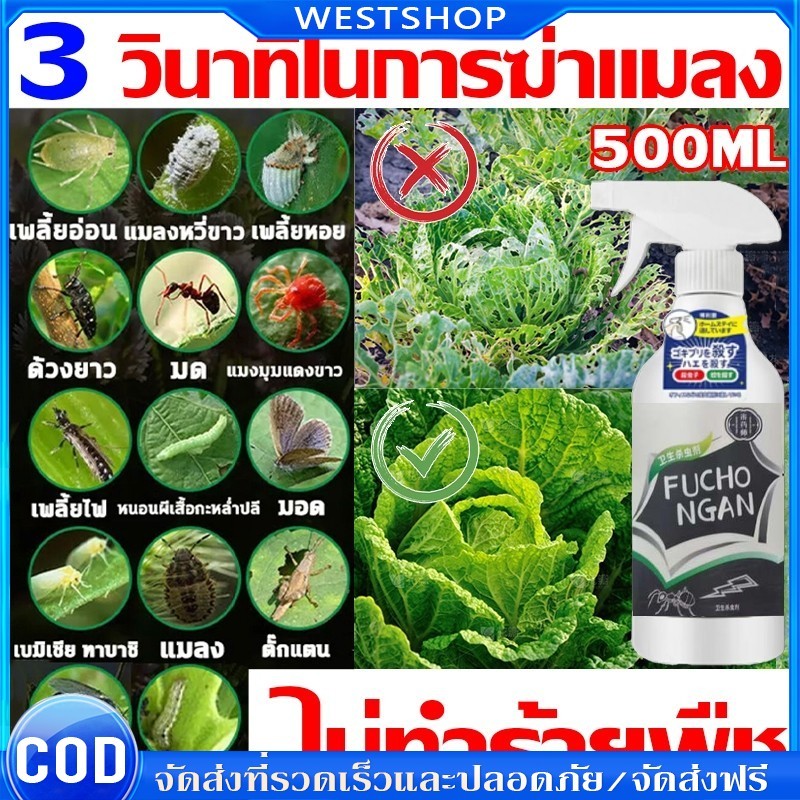 3 วินาทีในการฆ่าแมลง ยากำจัดแมลงพืช 500ML ยาฆ่าแมลง ไม่ทำร้ายพืช ยากำจัดเพลี้ย ยาฆ่าเพลี้ย หนอน มด เกษตร สวน เพลี้ยไฟ