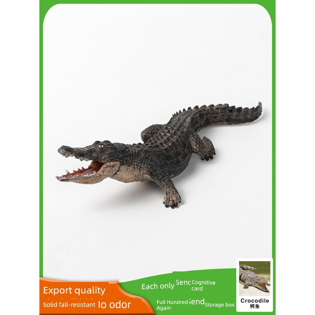 ชุดของเล่น Nile Crocodile Early Education ความรู้ความเข้าใจจําลองสัตว์