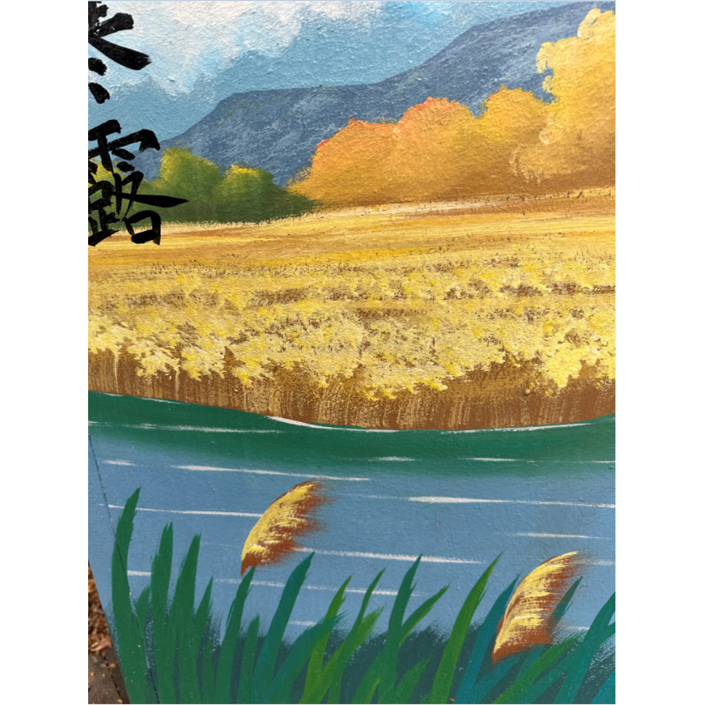 电压力锅配件AP-Y50E106/Y60E106显示板电源板电脑