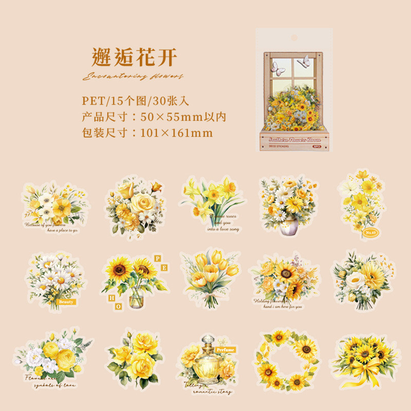สติ๊กเกอร์แพ็ค South City Flower Period Series Small รูปที่ 8