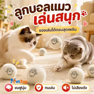 【PetZap】พร้อมส่ง COD กล่องอนุบาลลูกปลา กล่องแยกปลาในตู้ปลา แบบลอยน้ำ ไซส์ใหญ่ ใช้งานง่าย CW-011