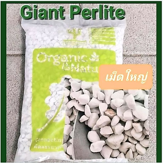 Perlite Giant 10 ลิตร ปรับสมดุลเร่งรากในกระถางใช้ผสมดิน รองก้น หรือโรยหน้ากระถาง