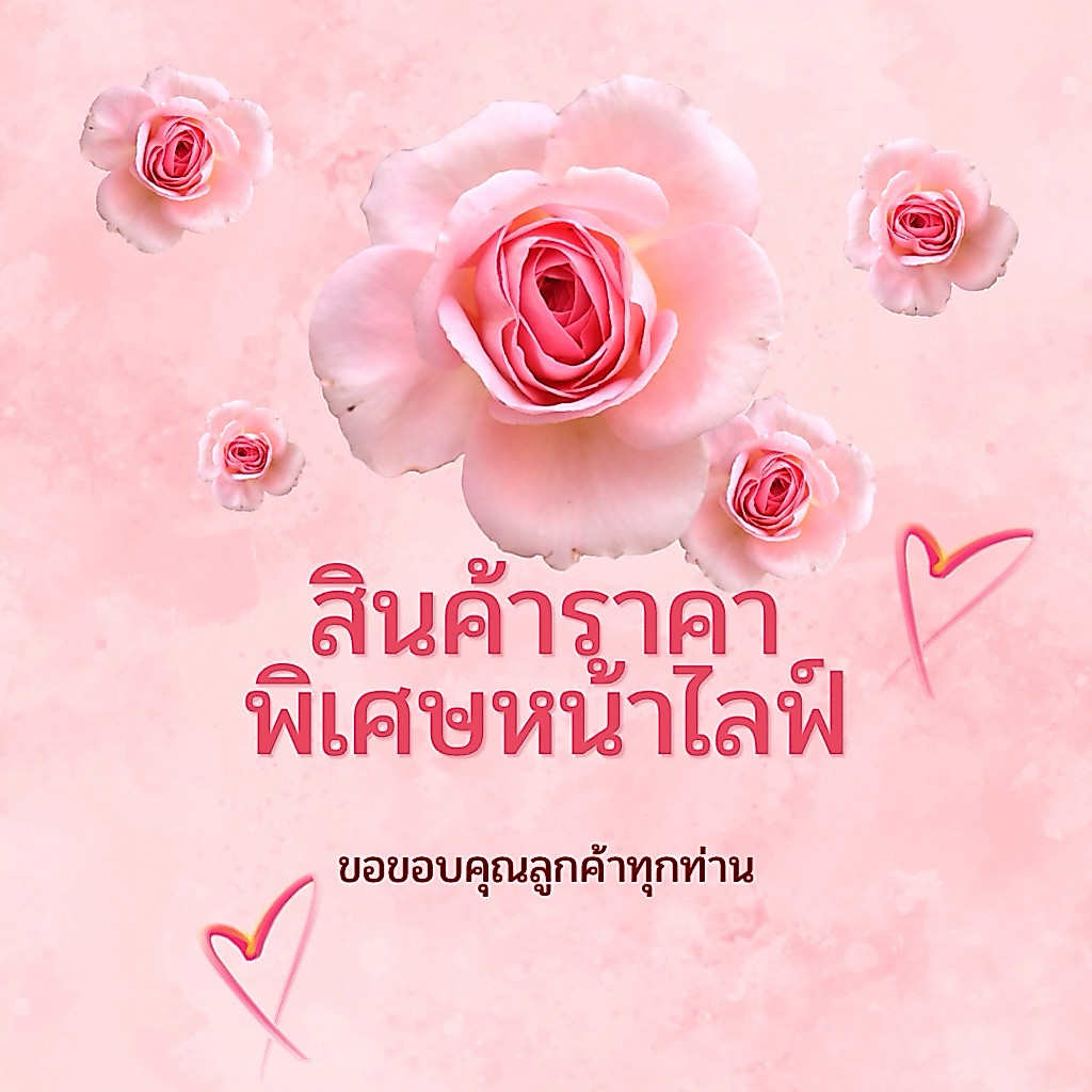 ✅สินค้างานเซลล์ 🔥เป็นไปตามเงื่อนไขที่แจ้งในไลฟ์สด🛒