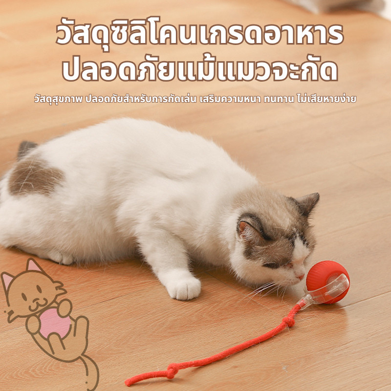 🐾ลูกบอลกลิ้งไฟฟ้าอัตโนมัติ ของเล่นแมวโต้ตอบ Ball ของเล่นแมว ลูกบอลอัตโนมัติ กลิ้งเองได้ ลูกบอลแมว - รูปที่ 3