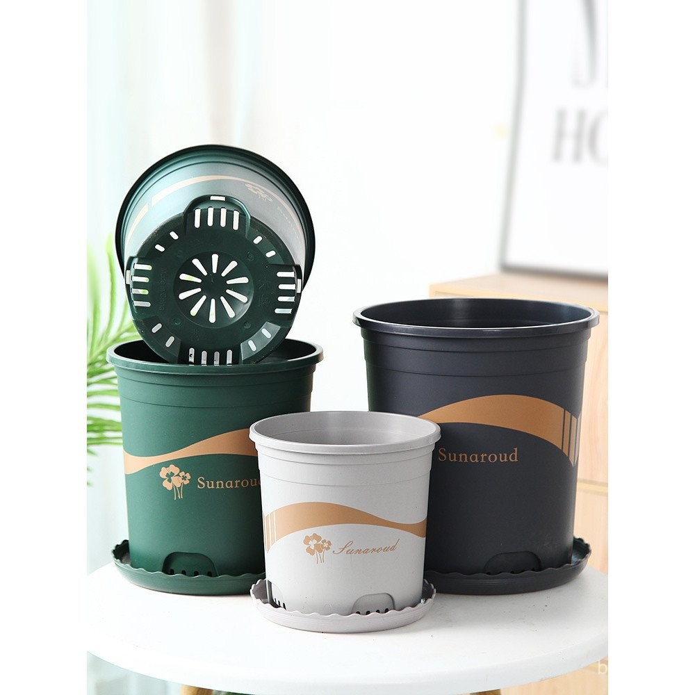 ไฮเดรนเยียสีเขียว Dill Root Control การแข่งขันหนาสไตล์ใหม่ขนาดใหญ่เส้นผ่านศูนย์กลางรุ่นที่สองพืชสีเข