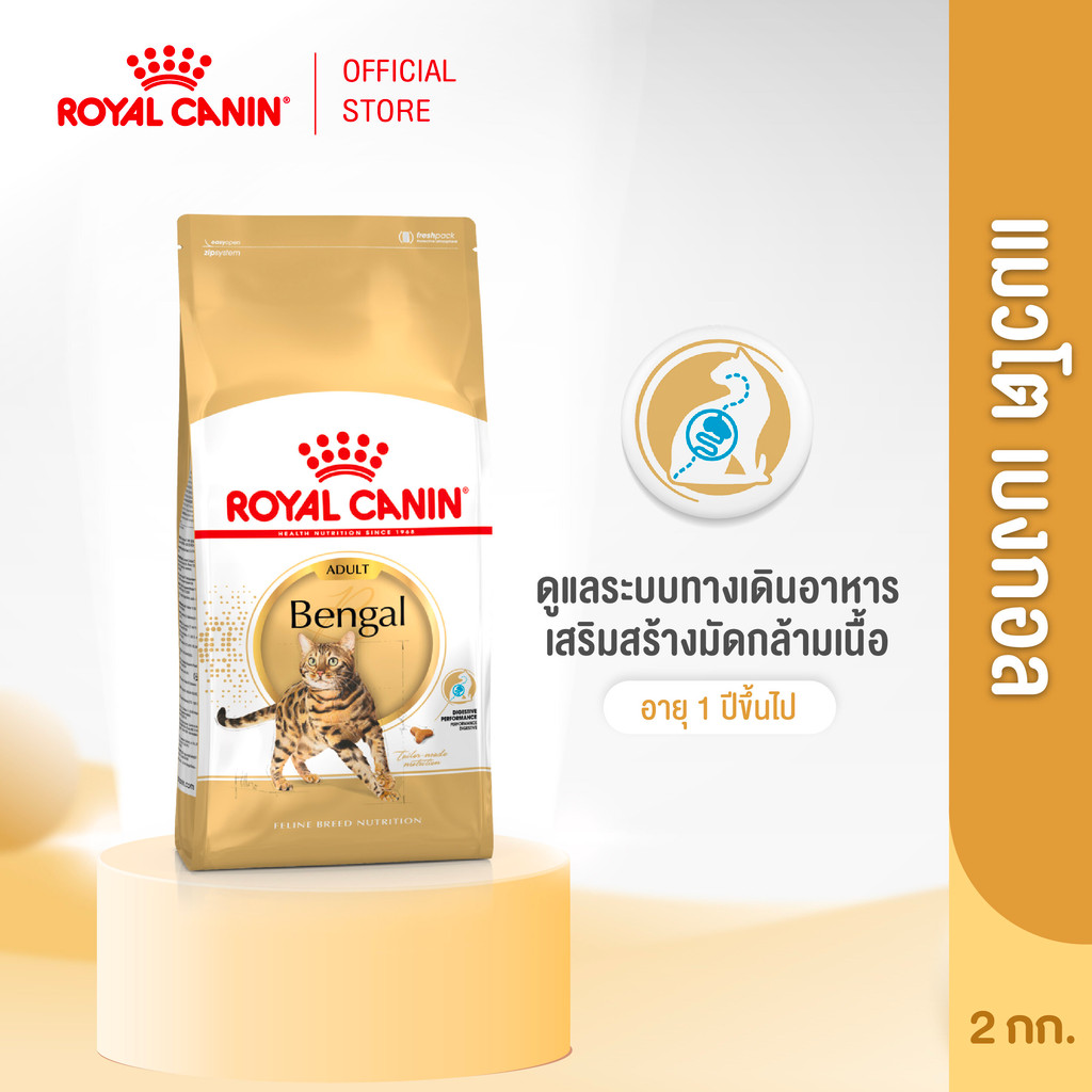 Royal Canin Bengal Adult 2kg อาหารเม็ดแมวโต พันธุ์เบงกอล อายุ  1 ปีขึ้นไป (Dry Cat Food, โรยัล คานิน)