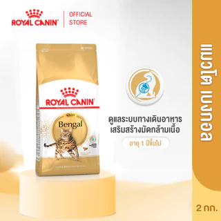 Royal Canin Bengal Adult 2kg อาหารเม็ดแมวโต พันธุ์เบงกอล อายุ 1 ปีขึ้นไป (Dry Cat Food, โรยัล คานิน)