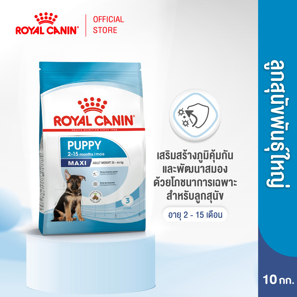 Royal Canin Maxi Puppy 10kg อาหารเม็ดลูกสุนัข พันธุ์ใหญ่ อายุ 2-15 เดือน (Dry Dog Food, โรยัล คานิน)