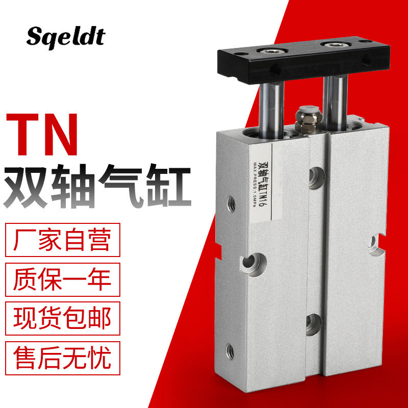 Sqeldt กระบอกแกนคู่ TN20-125 TN20-150 TN20-200 TN20-250 TN20-300