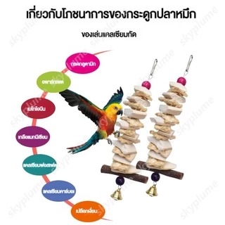 ของเล่นหัดกัดแทะสำหรับนกแก้วกระดองปลาหมึกเสริมแคลเซียมและมีกิ่งไม้แอปเปิ้ล