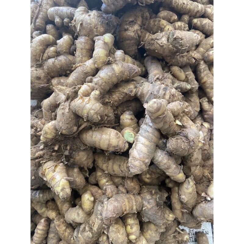 ว่านมหาเมฆเขียว 500g. มหาเมฆสด  หัวสด หัวพันธุ์ว่านเขียว ปลูกทานได้ ดอกกระเจียวแดง หัวว่าน ราคา ถูกที่สุด ดีลบีเคเค แกลเลอรีภาพที่ 2