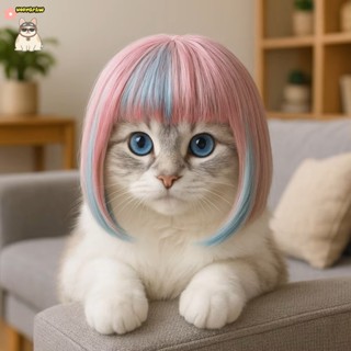 สากลผมยาวสุนัขแมวเครื่องแต่งกายวิกผมที่มีสีสันแมวตลกคอสเพลย์…